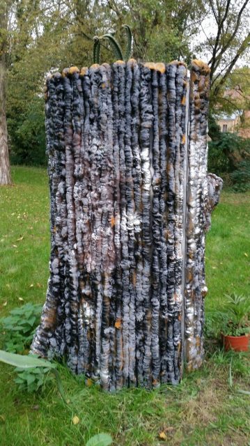 "Zauberbaum"