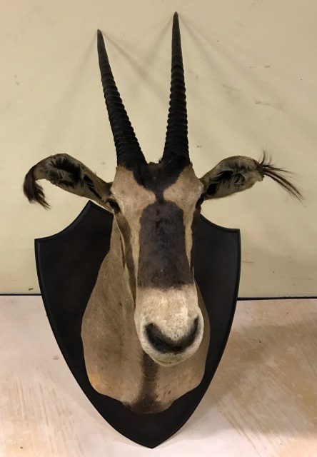 Tierpräparate