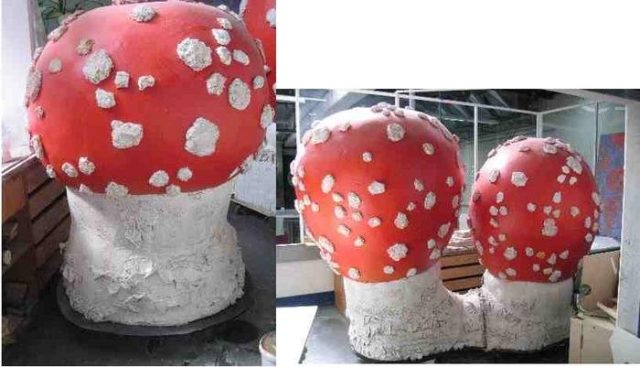 3 kaschierte Pilze – Foto Gesamtansicht
